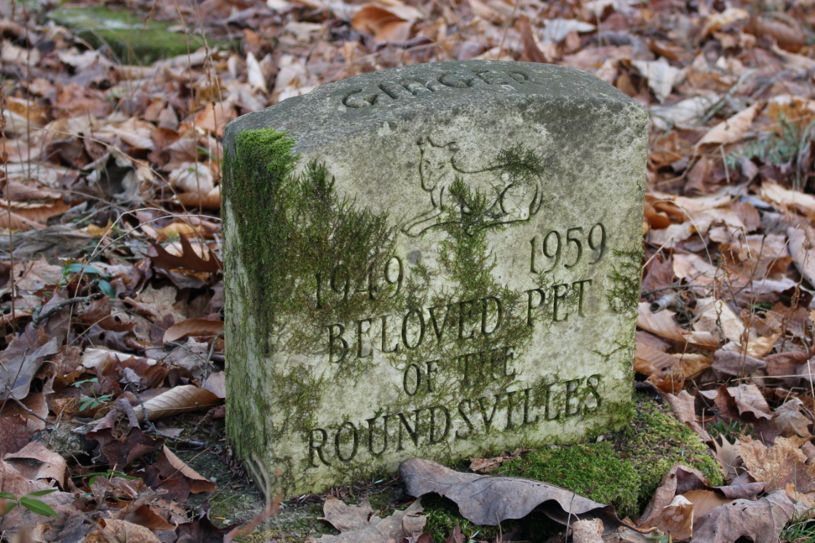 Tombstone with alage