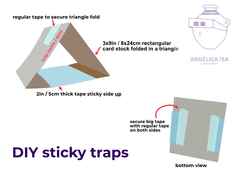 Diagram showing constructed trap.