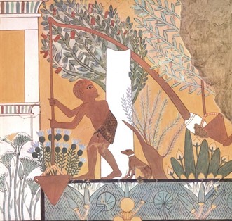 Gardener drawing water from a shaduf