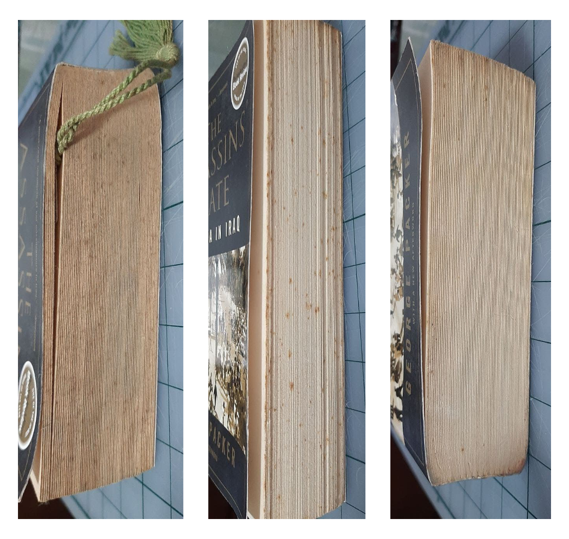 Three images of the top, side and bottom of a book showing differential damage.