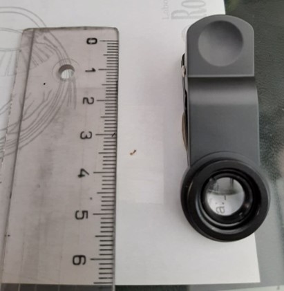 Magnifier clip next to ruler and ant