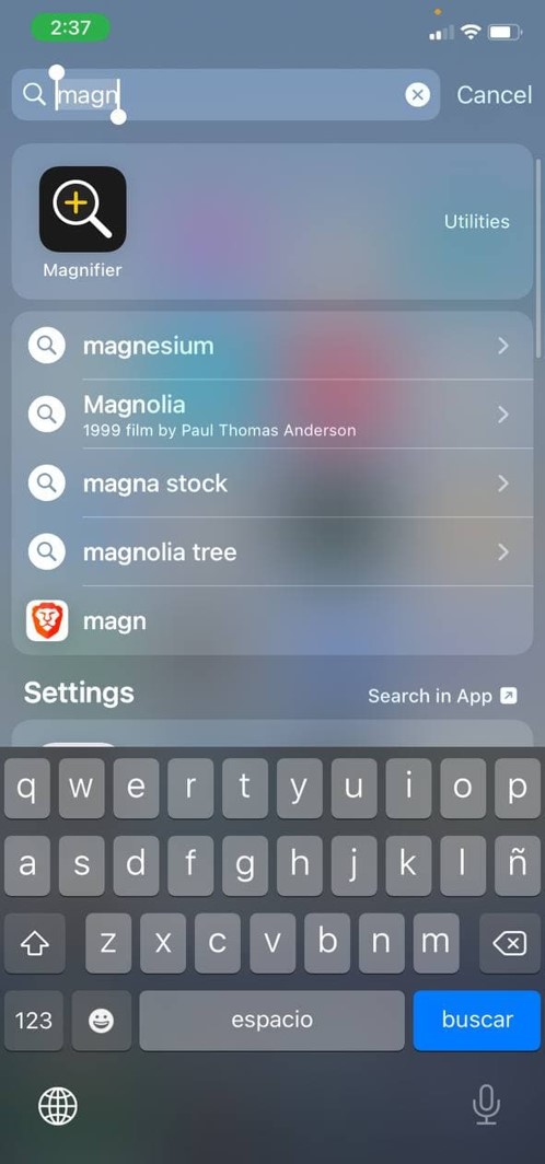 Magnifier app on Apple