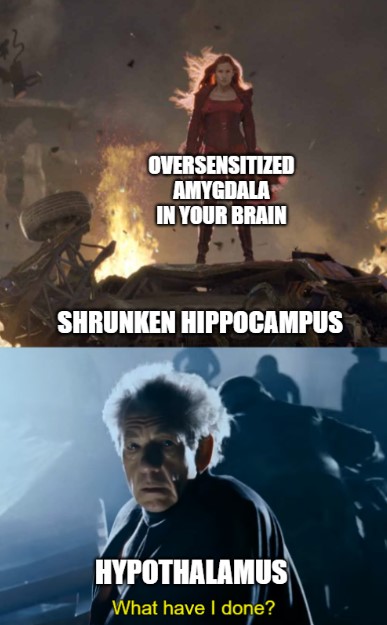 Phoenix from X-men labeled as "oversensitized amygdala in your brain" standing over destroyed area labeled as "shrunken hippocampus". Underneath, image of Ian McKellen as Magneto labeled "hypothalamus" saying "What have I done?"